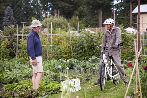 Two men chatting in a community garden
