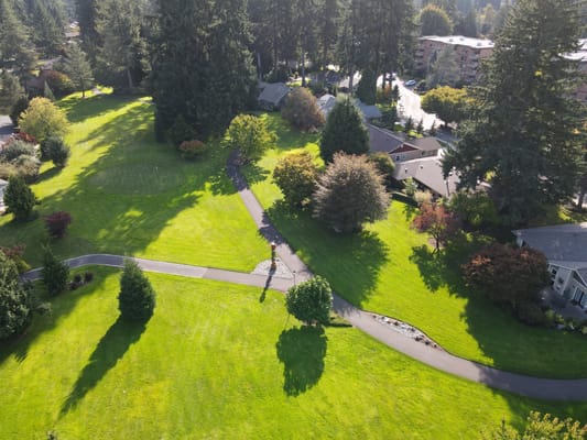 Aerial view of green outdoor space with walking paths