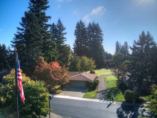 Aerial view of a residential area with trees and an American flag