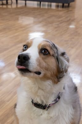 Edenbrook of Platteville