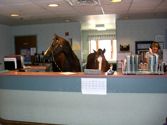 Care Age of Brookfield Care and Rehab Center LLC