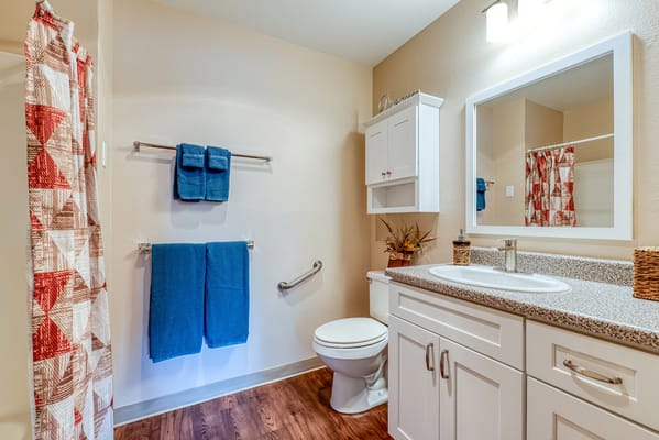 Brightly designed bathroom with accessible features