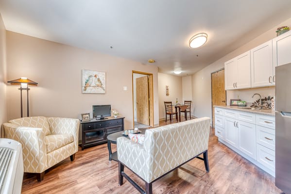 Modern furnished living room in a senior apartment