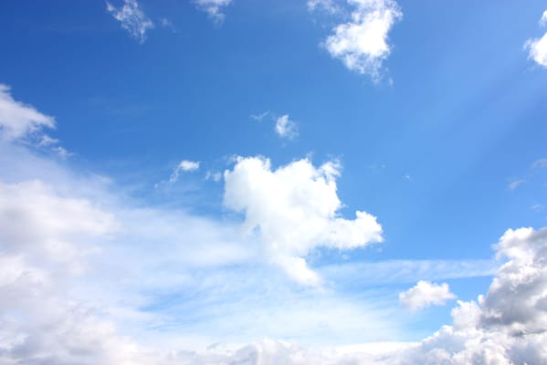 The Courtyard at Sussex Cbrf