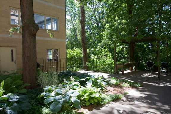 Outdoor space with trees and greenery next to a building