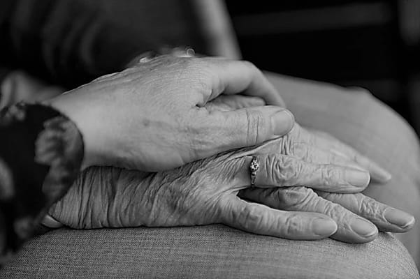 Two hands coming together, symbolizing companionship