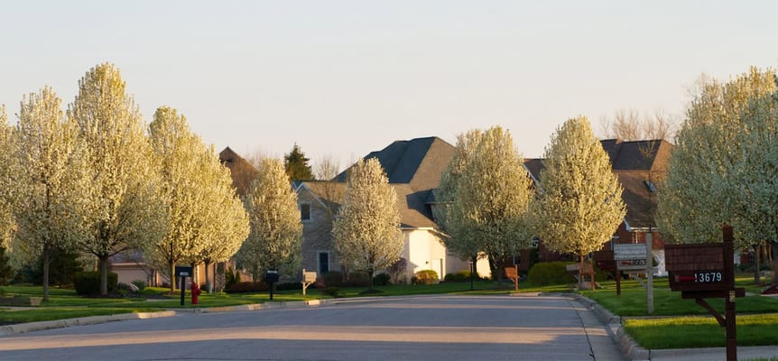 Violet Meadows De Pere