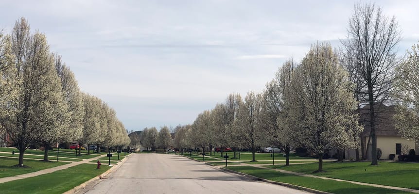 Violet Meadows De Pere