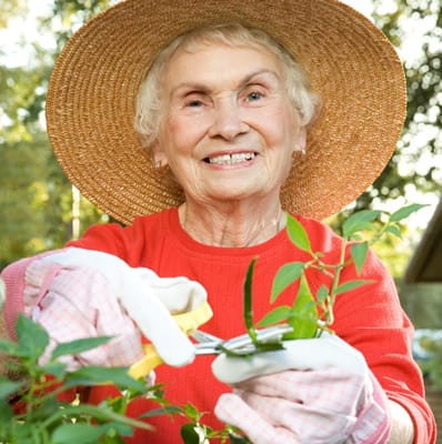 Senior resident gardening with pruning shears