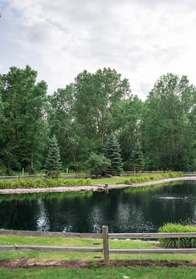 Tranquil pond surrounded by lush greenery