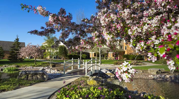 Beautiful landscaped area with flowering trees and a bridge