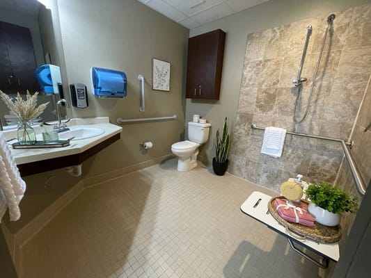 Accessible bathroom with modern fixtures and decor