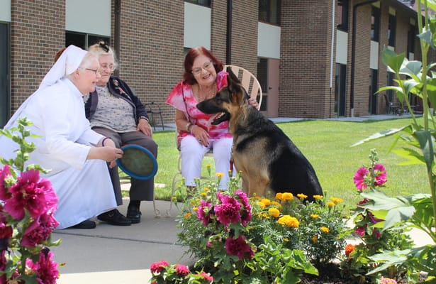 Residents enjoying time with a dog in a garden