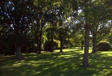 St Monicas Senior Living Inc