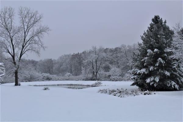 St Monicas Senior Living Inc