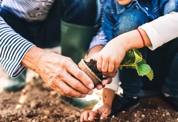 An elder and a child gardening together