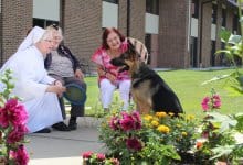 St Monicas Senior Living Inc