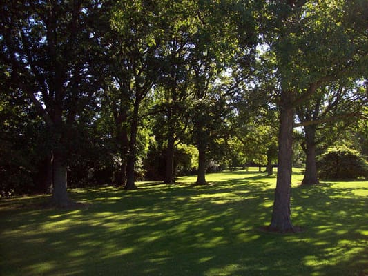 St Monicas Senior Living Inc