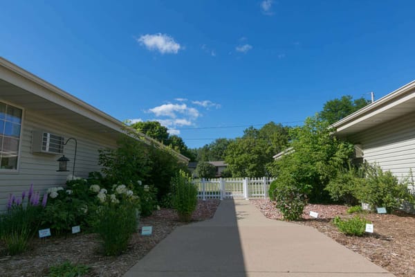Pathway through a beautifully landscaped outdoor area