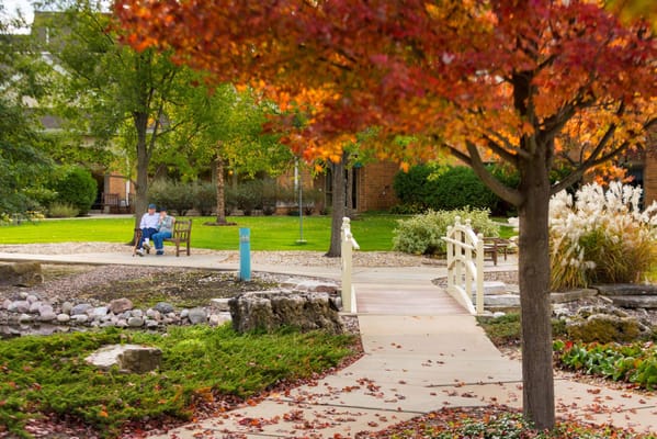 Residents enjoying a serene outdoor space with colorful trees