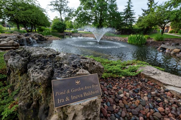 Pond and garden area with a commemorative plaque
