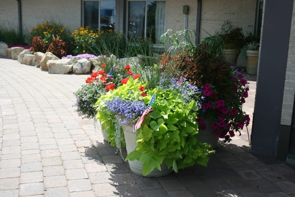 Beautiful flower pots along a walkway