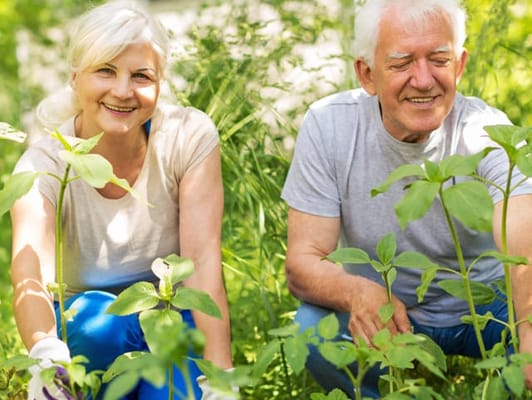 Residents gardening in a lush outdoor area
