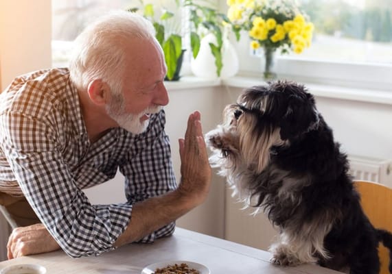 Senior man interacting with a dog at a table
