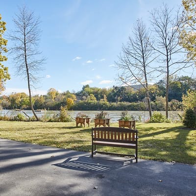 Scenic view of a garden by the river