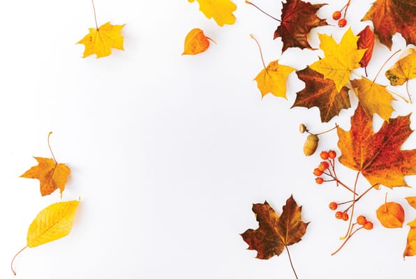 Parkside Assisted Living