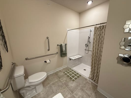 Accessible bathroom with support bars and shower