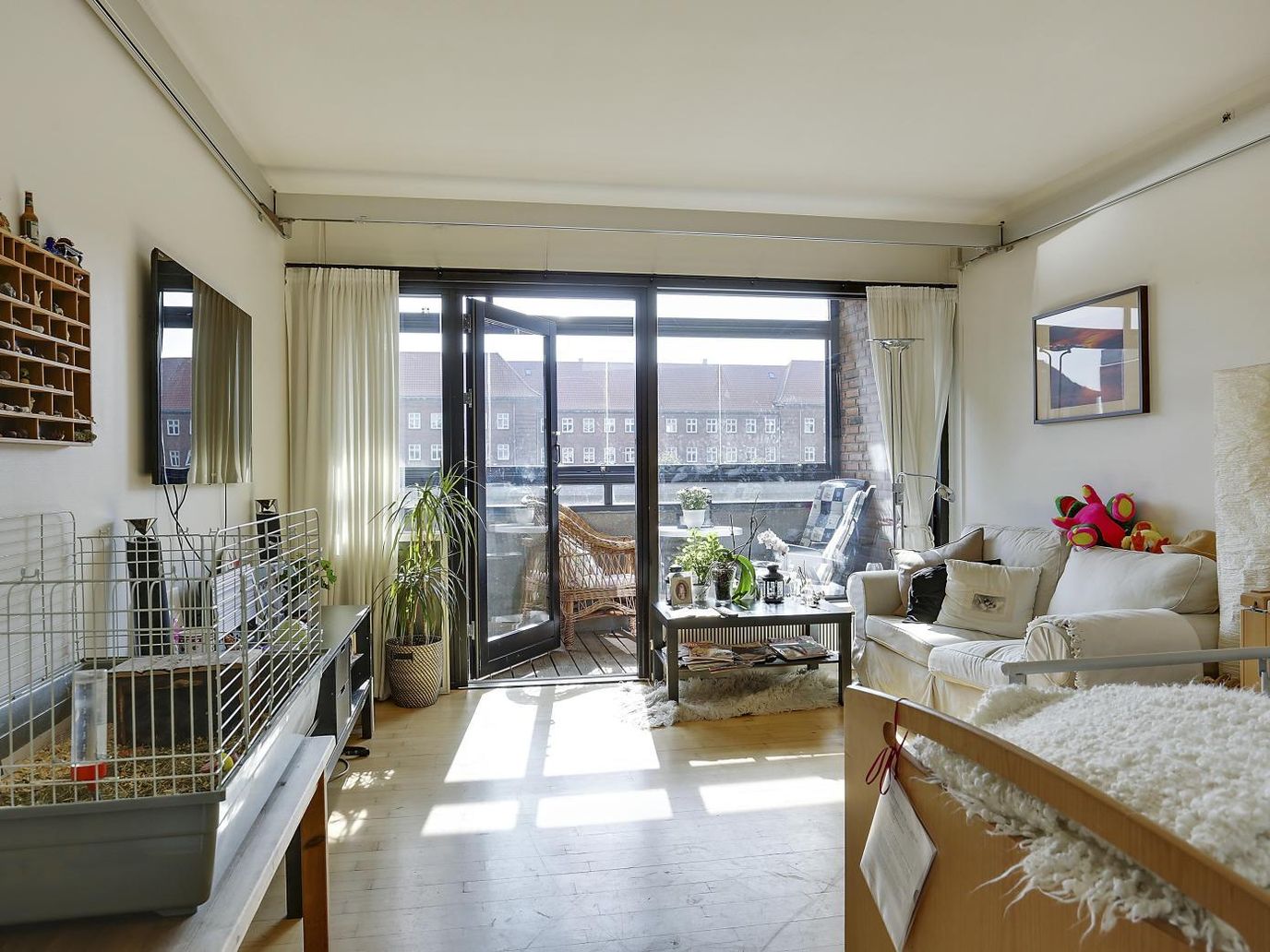 Bright living room with large windows and plants