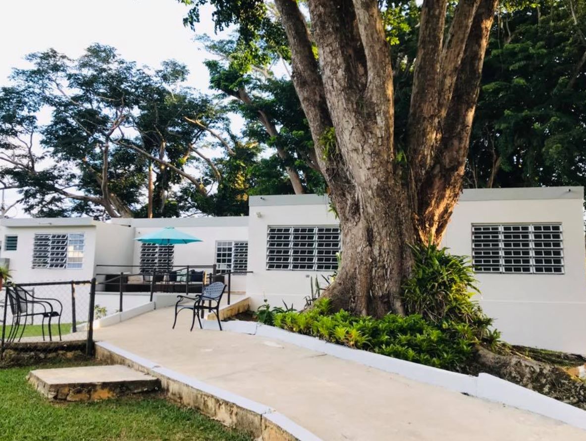 Outdoor view with a tree and seating area