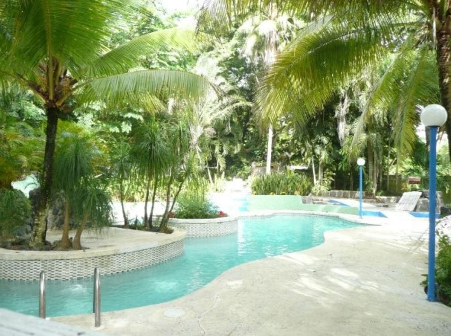 A serene outdoor pool area surrounded by tropical plants