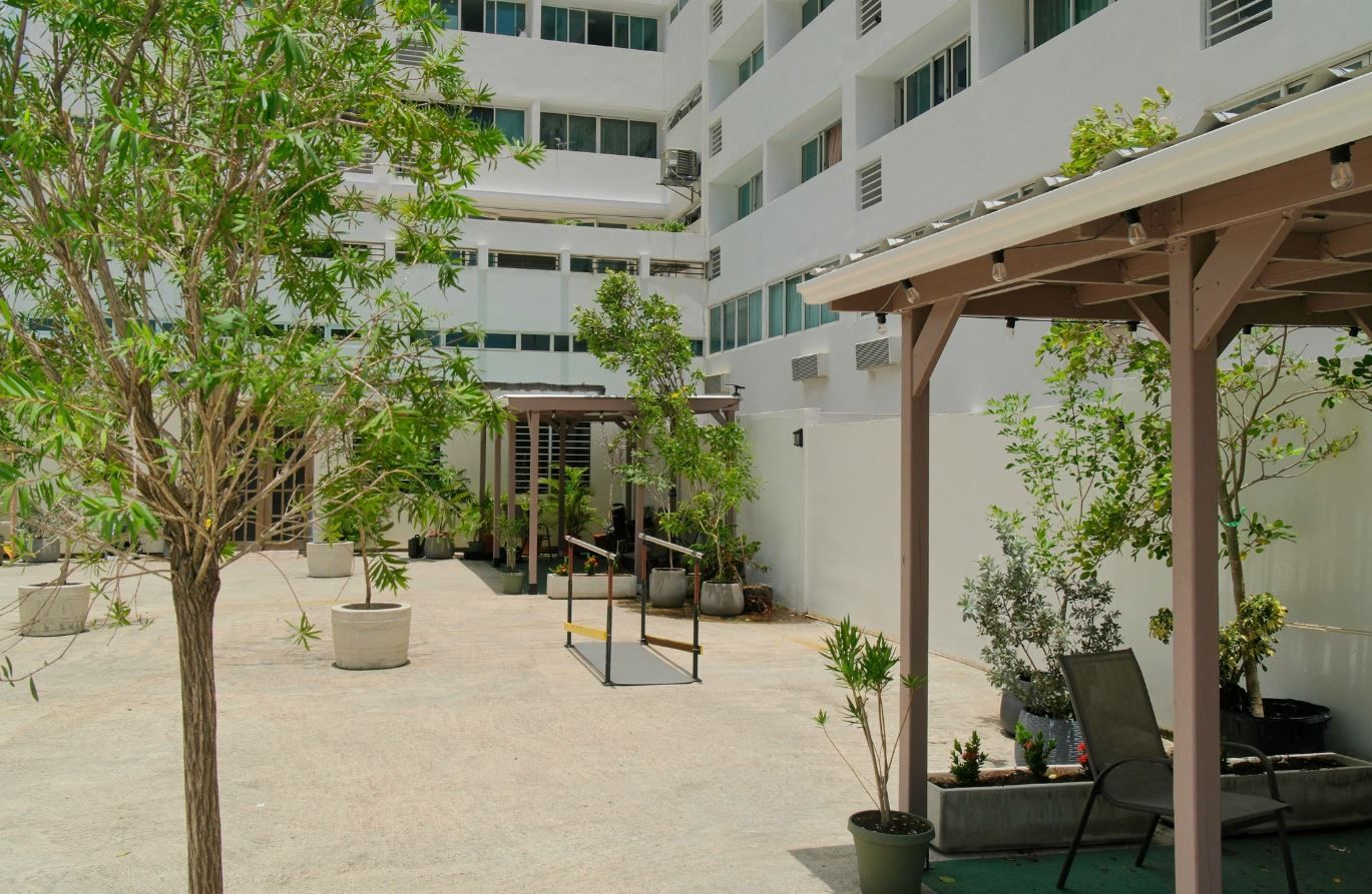 Outdoor space with greenery and seating area
