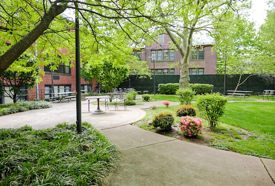 A peaceful outdoor courtyard with greenery and seating