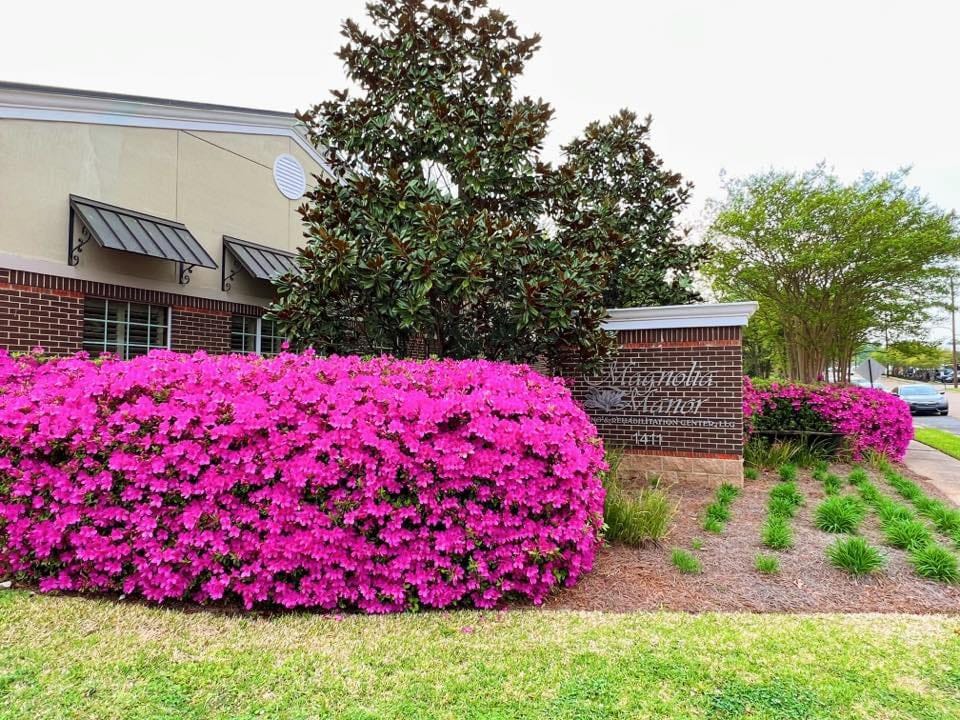 Exterior view of Magnolia Manor with flowering shrubs