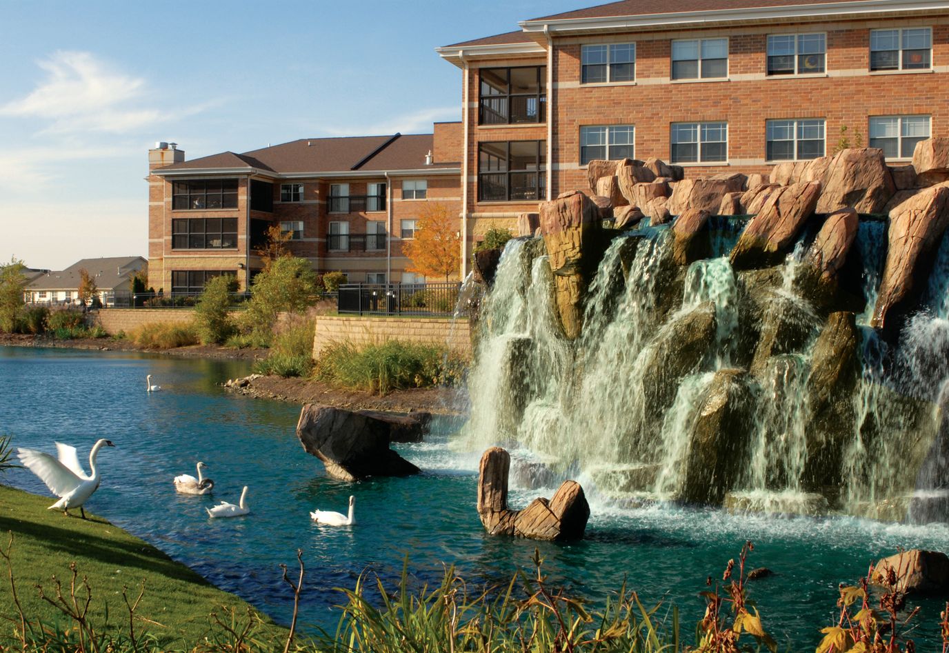 Outdoor waterfall with swans near the facility