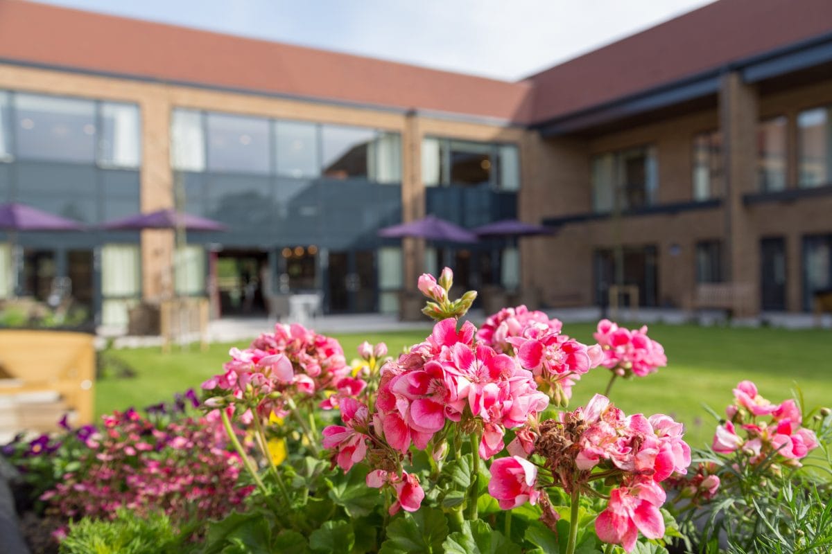 Bright outdoor garden area with flowers and building facade