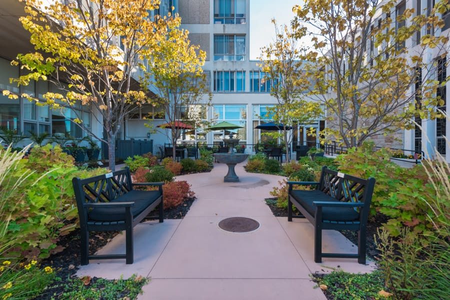 Garden area with benches and green landscaping