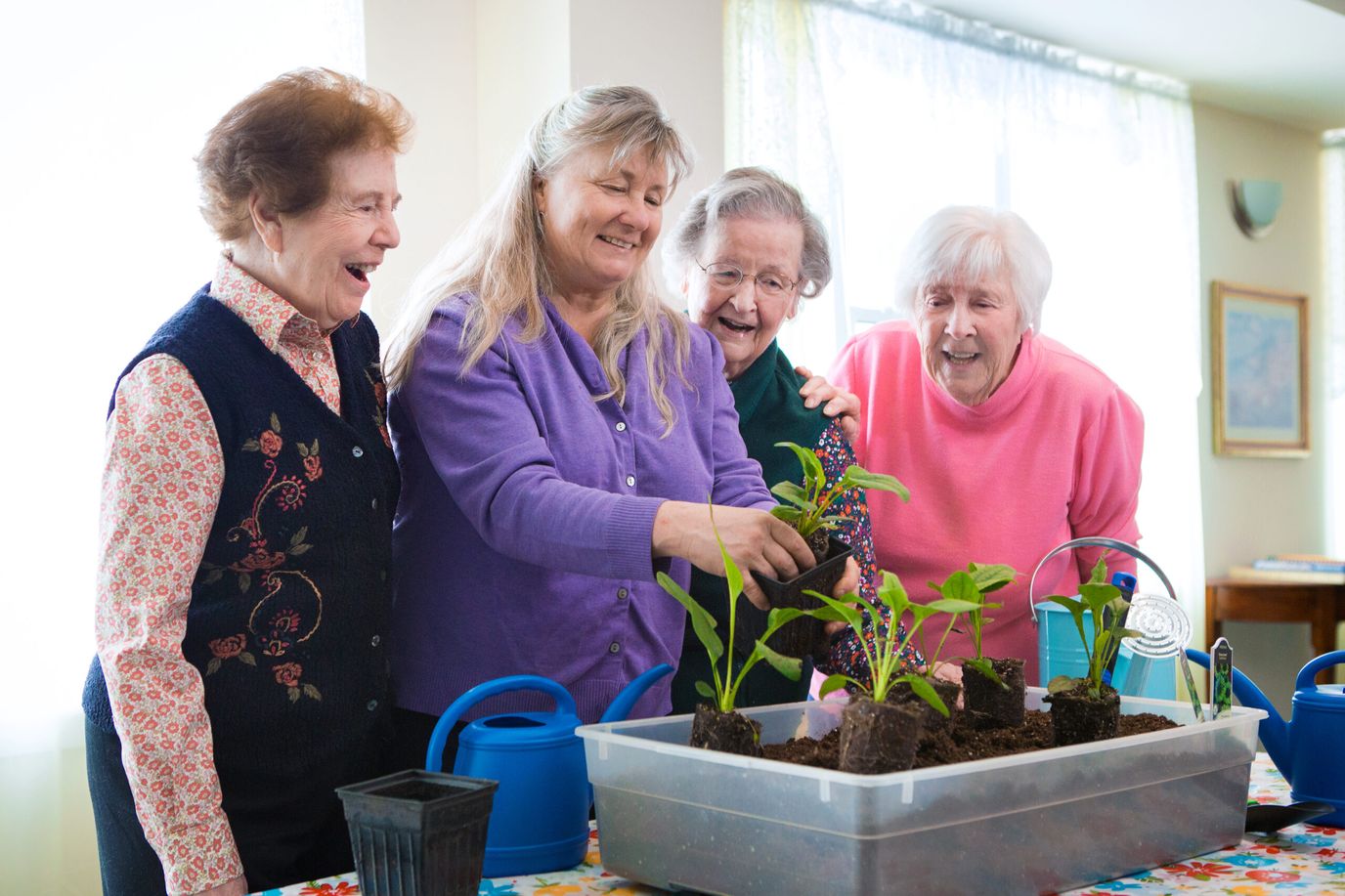 Residents engaging in a gardening activity indoors.
