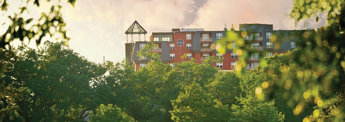View of Lambeth House among trees
