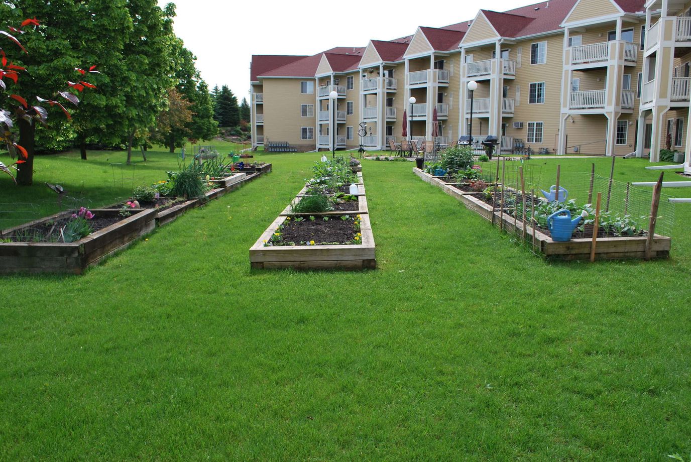 Community garden with raised beds and facility buildings in the background