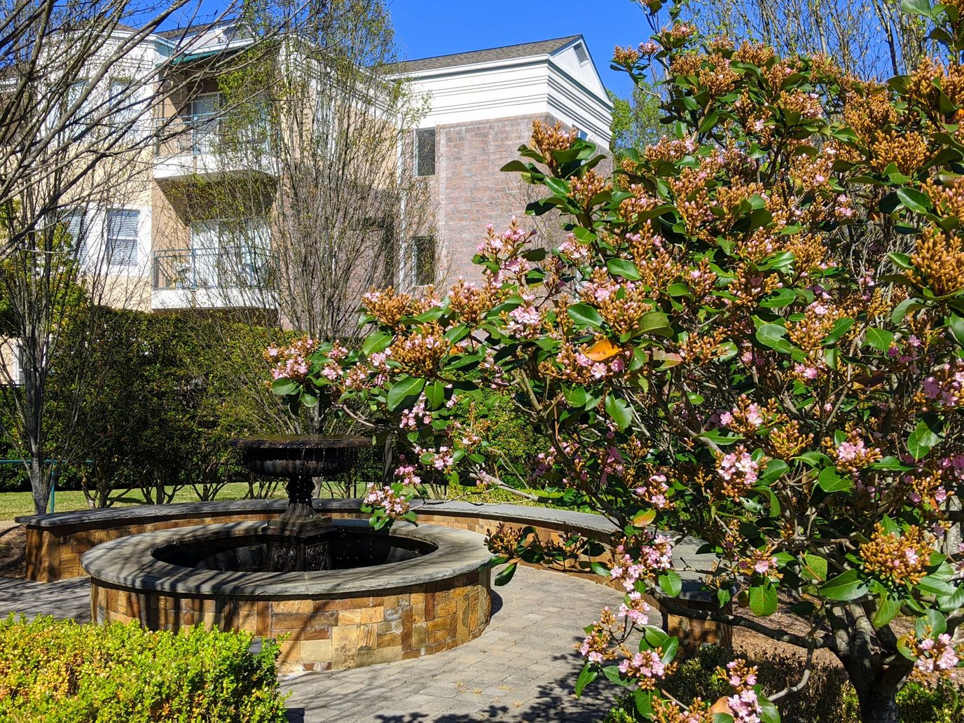 Beautiful outdoor garden with flowering plants and seating