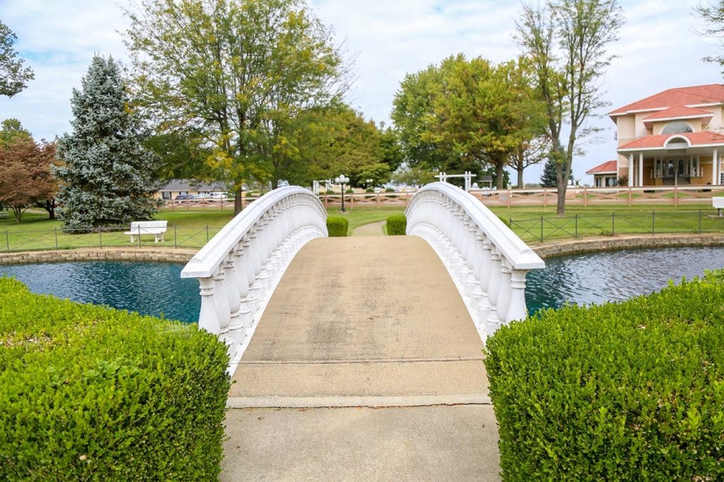 A picturesque bridge over a garden pond