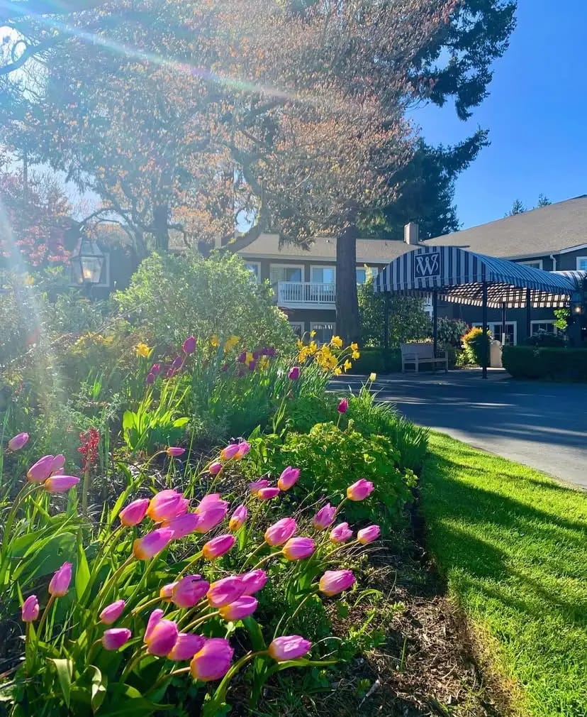 Beautiful outdoor garden with flowers and building entrance