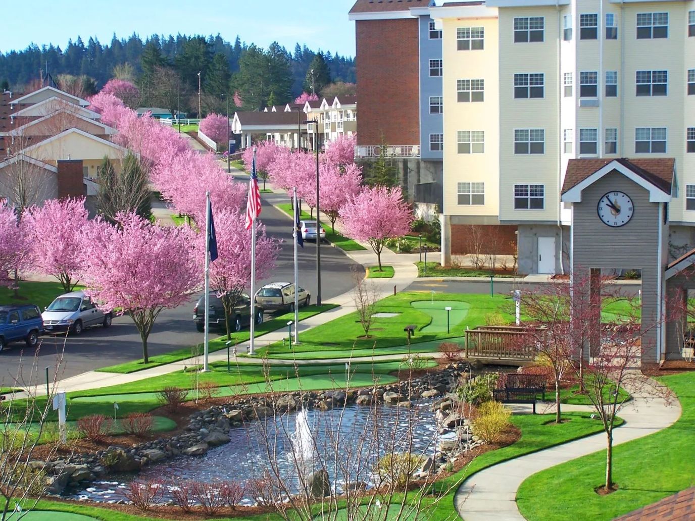 Outdoor view of CherryWood Village with blooming trees