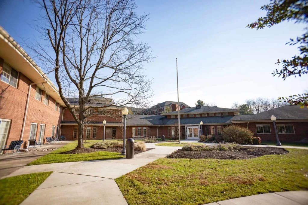 Outdoor courtyard area with a tree and building