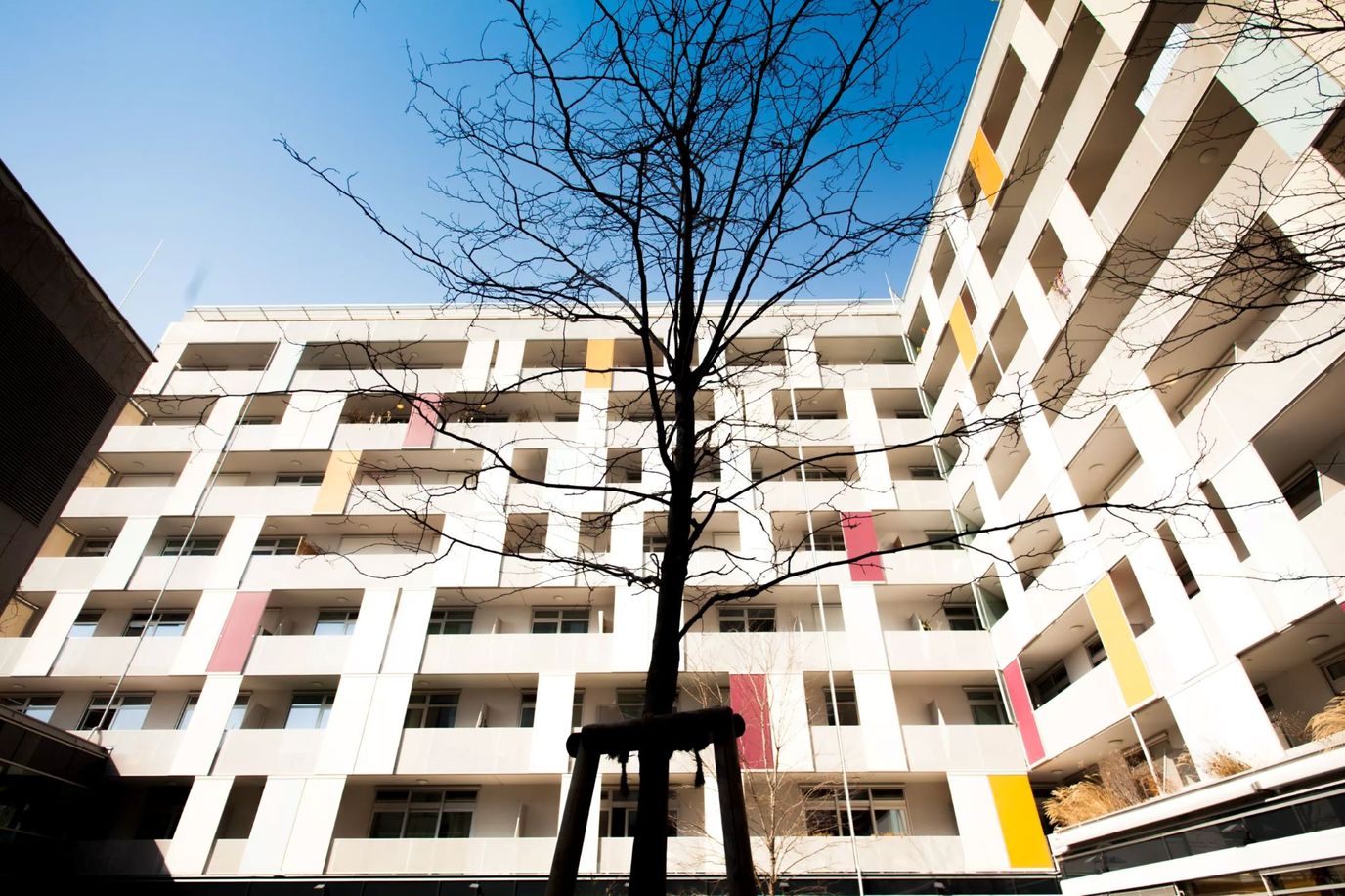 Maimonides-Zentrum GmbH