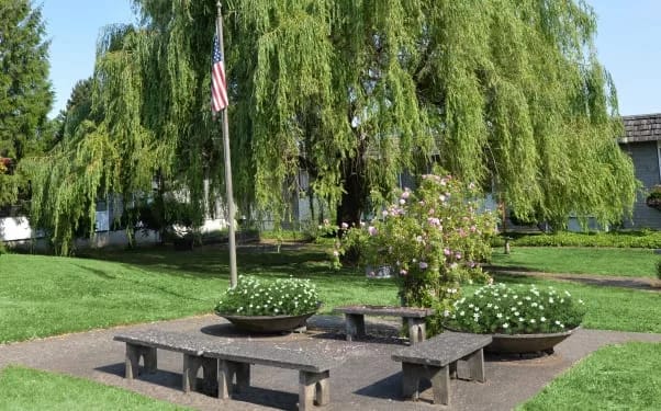 Outdoor seating area with flowers and weeping willow trees